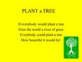 PLANT a TREE If everybody would plant a tree Over the world a river of grass Everybody could plant a tree How beautiful it would be!