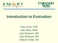 Introduction to Evaluation Peter Chen, PhD Julie Gibbs, BSW Julie Maertens, MS Julie Sampson, MS Stefanie Putter, BA.