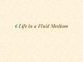 6 Life in a Fluid Medium. CONSIDER FLUID MOVING IN STREAMLINES: Water flow can be visualized as streamlines Particles entrained in flow move with streamlines.