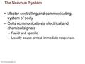 © 2013 Pearson Education, Inc. The Nervous System Master controlling and communicating system of body Cells communicate via electrical and chemical signals.