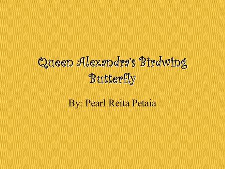 Queen Alexandra’s Birdwing Butterfly By: Pearl Reita Petaia.