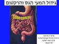 Colon Rectum x1.85x2.35x1.87x2.48 1:111:8 1:11.