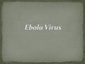 Introduction 1) Viruses 2) Interspecies Transmission processes 3) Biodiversity Damage Conclusion / Opening.