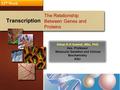 Transcription The Relationship Between Genes and Proteins 12 th Week Gihan E-H Gawish, MSc, PhD Ass. Professor Molecular Genetics and Clinical Biochemistry.