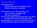 Previously and then some Transcription basics: DNA structure, Parts of a eukaryotic gene, initiation, elongation, termination 1) If the DNA in every cell.