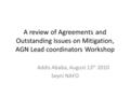 A review of Agreements and Outstanding Issues on Mitigation, AGN Lead coordinators Workshop Addis Ababa, August 13 th 2010 Seyni NAFO.