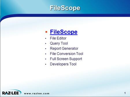 1FileScope  FileScope File Editor Query Tool Report Generator File Conversion Tool Full Screen Support Developers Tool.