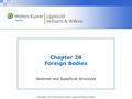 Copyright © 2011 Wolters Kluwer Health | Lippincott Williams & Wilkins Chapter 26 Foreign Bodies Abdomen and Superficial Structures.