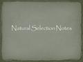 The Theory of Natural Selection Adaptation – a beneficial trait that allows an individual to survive better than others Adaptations may help individuals.