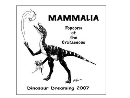 Mammals Rule! Mammal Notes Marine Mammals: - 65 million years ago dinosaurs disappeared and mammals thrived.