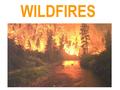 WILDFIRES. The causes of wildfires Lesson Objectives All to know what a wildfire is Most to know the natural and human causes of wildfires Some to understand.