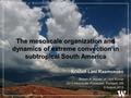 The mesoscale organization and dynamics of extreme convection in subtropical South America Kristen Lani Rasmussen Robert A. Houze, Jr., Anil Kumar 2013.