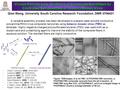 Viruses Fall into Line: Synthesis of Composite Nanofibers by Controlled Self-assembly of Tobacco Mosaic Virus Qian Wang, University South Carolina Research.