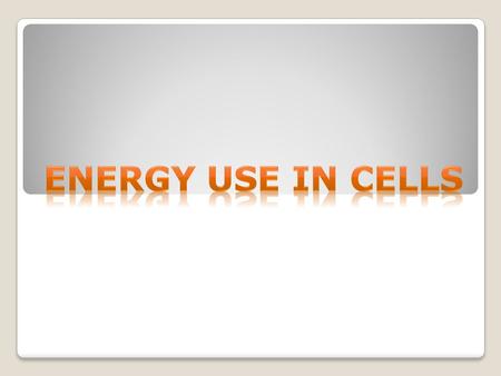 Energy & Metabolism Matter – anything that has mass and takes ups space Energy - capacity to do work or bring about change Matter is a form of energy.