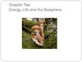 Chapter Two Energy, Life and the Biosphere. Organizer Write five questions on each of the following three statements: Living things need energy. The need.