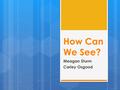 How Can We See? Meagan Sturm Carley Osgood. Next Generation Science Standards Performance Expectation  1-PS4-2: Make observations to construct an evidence-based.