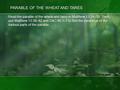 PARABLE OF THE WHEAT AND TARES Read the parable of the wheat and tares in Matthew 13:24–30. Then use Matthew 13:36–42 and D&C 86:1–7 to find the meanings.