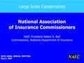 Large Scale Catastrophes National Association of Insurance Commissioners NAIC President Walter A. Bell Commissioner, Alabama Department of Insurance XVIII.