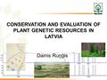 CONSERVATION AND EVALUATION OF PLANT GENETIC RESOURCES IN LATVIA Dainis Ruņģis.