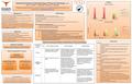 Assessing Student Understanding of Physical Hydrology (#0691) Adam J. Castillo a,c ; Jill Marshall a ; Meinhard B. Cardenas b a Department of Curriculum.