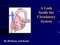 A Look Inside the Circulatory System By Brittany and Katie.