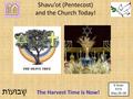 Shavu’ot (Pentecost) and the Church Today! 6 Sivan 5772 May 26–28 The Harvest Time is Now!