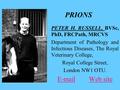 PRIONS PETER H. RUSSELL, BVSc, PhD, FRCPath, MRCVS Department of Pathology and Infectious Diseases, The Royal Veterinary College, Royal College Street,