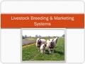 Livestock Breeding & Marketing Systems. Breeding Systems Different systems exist due to the various types of livestock operations Factors to determine.