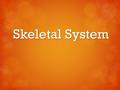 Skeletal System. sternum The Skeletal System Functions of the Skeletal System  Provide support  Protect internal organs  Allows your body to move.