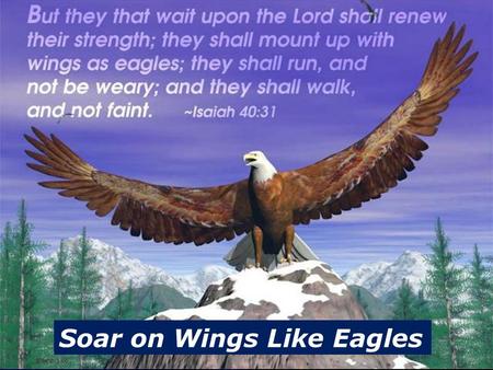 Soar on Wings Like Eagles. 1.The High Calling 2.Challenges to Fulfilling God’s Call 3.Challenges Met in God’s Strength.