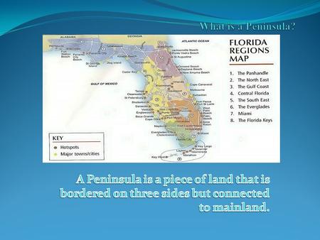 Relative Location The state of Florida is positioned in both the northern and western hemispheres. Florida is bordered by the states Alabama and Georgia.