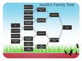 Jacob’s Family Tree JacobAdam Acey Eugene “Chip” Acey Eugene Acey, Sr. Barbara (Hewitt) Acey Elanore “Noni” (Novachoff) Acey Jack Novachoff Sylvia (Dallas)