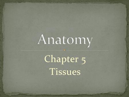 Chapter 5 Tissues. cells- basic unit of structure and function tissues- cells that are organized into groups and layers carry out specific functions.