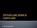 Dr. ANAND SRINIVASAN.  Student at the end of the class should be able to :  Identify different types of epithelia types and list examples.  Identify.