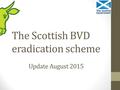 The Scottish BVD eradication scheme Update August 2015.