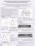 DNA binding, protein interaction and nuclease activity of a new Cu(II)-N-substituted sulfonamide complex Tamara Liana Topală, a Alejandro Pascual-Álvarez,