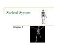 Skeletal System Chapter 7.