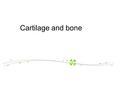 Cartilage and bone. 2 1. Cartilage: organ=Cartilage tissue+perichondrium.