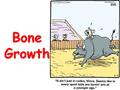 Bone Growth. How is bone formed in a growing infant? Calcified bone matrix replaces the cartilage. The bone is remodeled. The cartilage bone serves as.