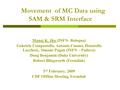 Movement of MC Data using SAM & SRM Interface Manoj K. Jha (INFN- Bologna) Gabriele Compostella, Antonio Cuomo, Donatella Lucchesi,, Simone Pagan (INFN.