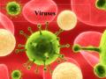 Viruses Viruses are not a type of bacteria! Virus comes from the Latin word for poison. Viruses are so small they can only be seen with Electron Microscope.