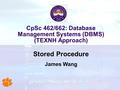 CpSc 462/662: Database Management Systems (DBMS) (TEXNH Approach) Stored Procedure James Wang.