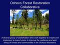 Ochoco Forest Restoration Collaborative A diverse group of stakeholders who work together to create and implement a shared vision to improve the resilience.