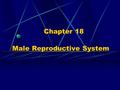 Chapter 18 Male Reproductive System. 1. Components: ---testis: produce the male germ cells- gametes(sperm) produce androgen-testosterone ---gernital ducts: