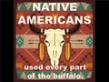 NATIVE AMERICANS used every part of the buffalo.