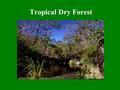 Tropical Dry Forest. Global Distribution India Africa South America Northern Australia.