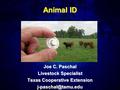 Animal ID Joe C. Paschal Livestock Specialist Texas Cooperative Extension