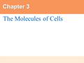 Chapter 3 The Molecules of Cells. Got Lactose? Lactose intolerance illustrates the importance of biological molecules to the functioning of living cells.