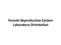 Female Reproductive System Laboratory Orientation.