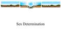 Sex Determination. Sexual Reproduction For most diploid eukaryotes, sexual reproduction is the only mechanism resulting in new members of a species. Meiosis.